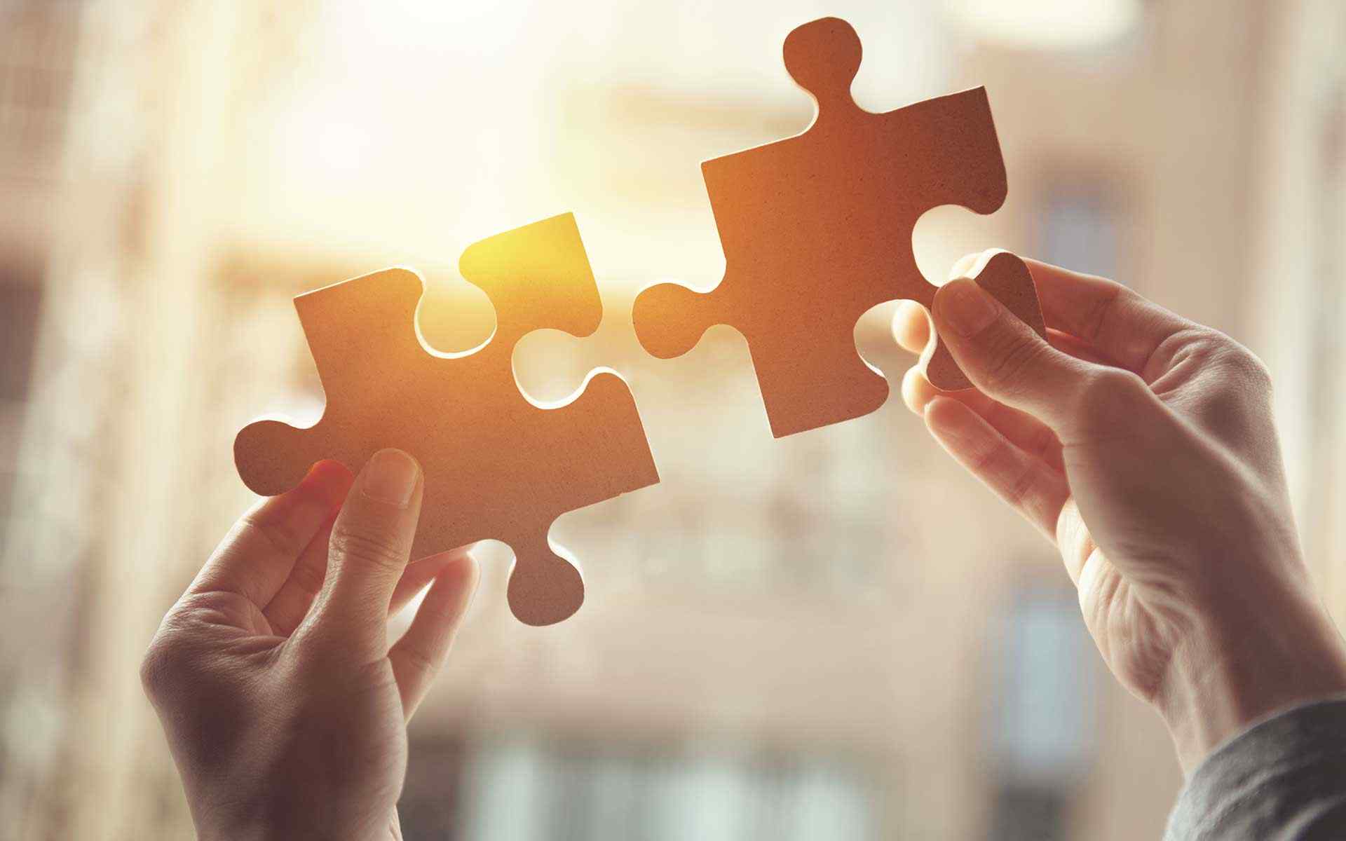Mergers & Acquisitions (M&A) Support: 